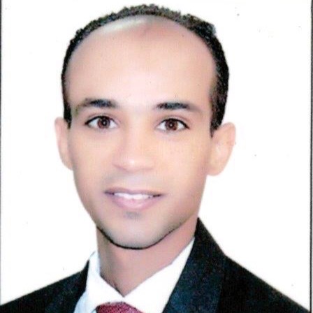 Bassem Ibrahiem Moustafa
