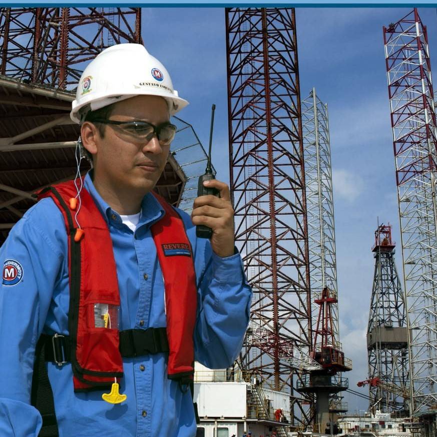 GUSTAVO ESQUIVEL LASCURAIN