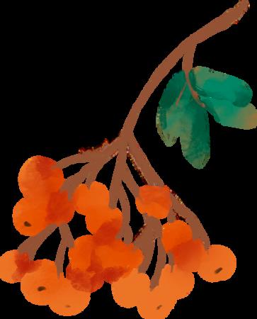 Catherine Yen-Jung Fu