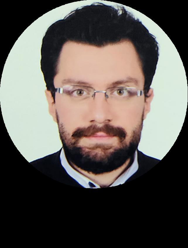 AHMED HASSAN ABDEL AZIZ