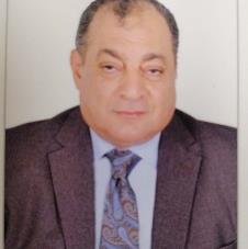 Sameh Salah El Din Ahmed