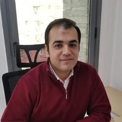 Nasreldeen Mohamed Hassanin