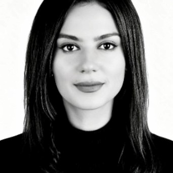 AlShimaa Salah Ismail