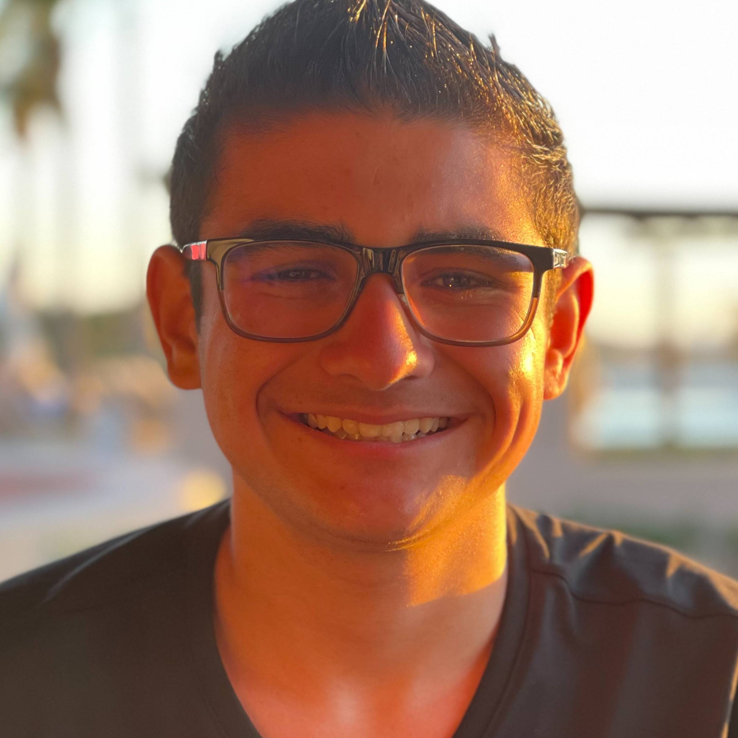 Miles Salamirad