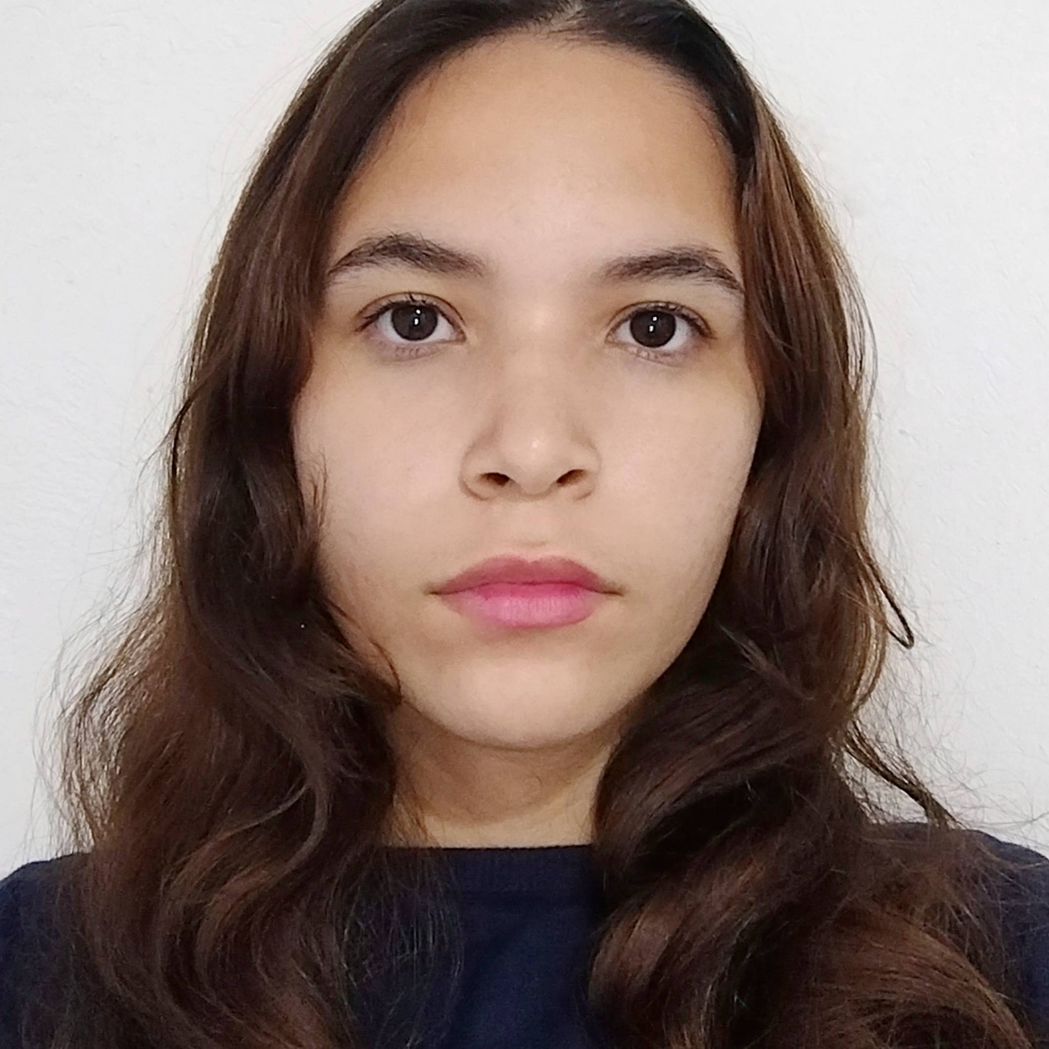 PAULA ANDREA PRIETO BARRIOS