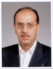 Tarek Ali Mohamed Ali