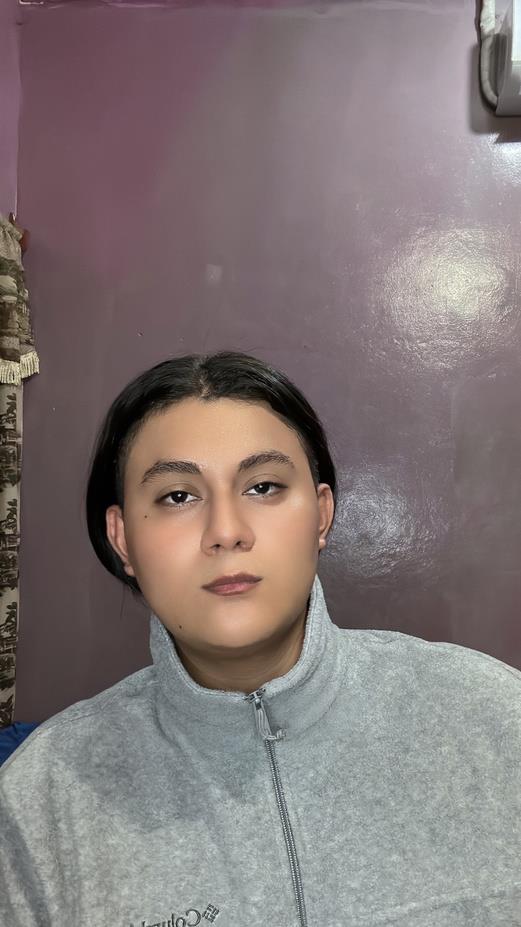 Francisco Enmanuel Lara Arce