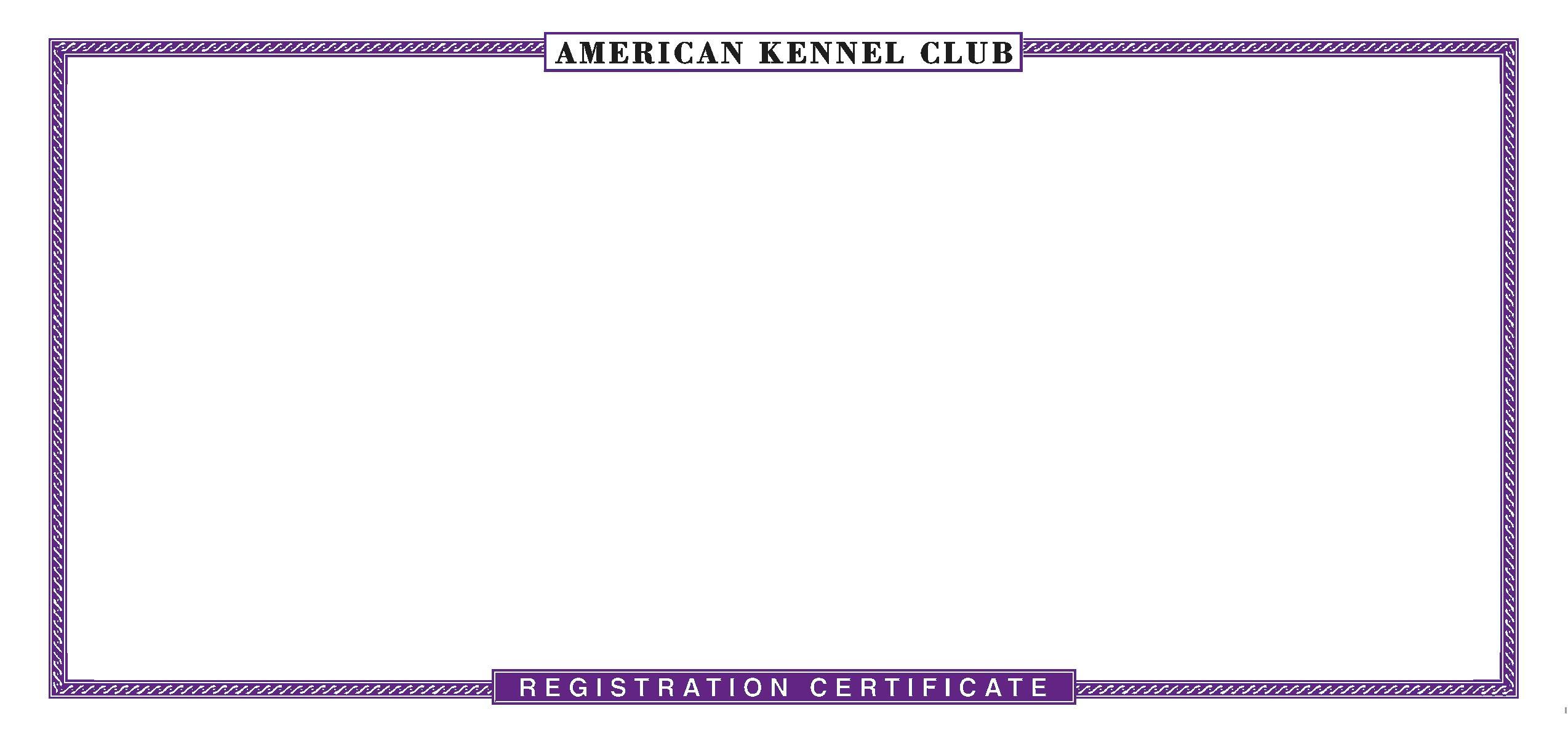 Mellisa Przybylinski