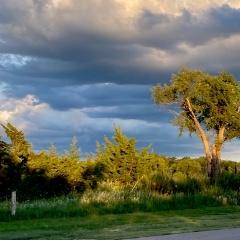 Kimberly Kay Jon Leiker