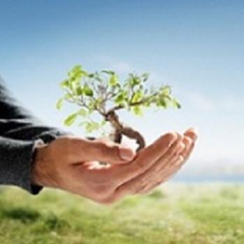 Hunnicutt Tree Service