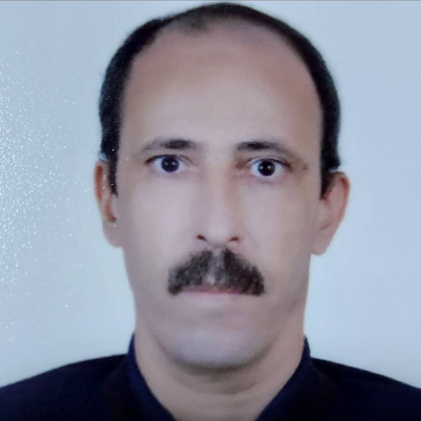 MOHAMMED M. ABOELNASR