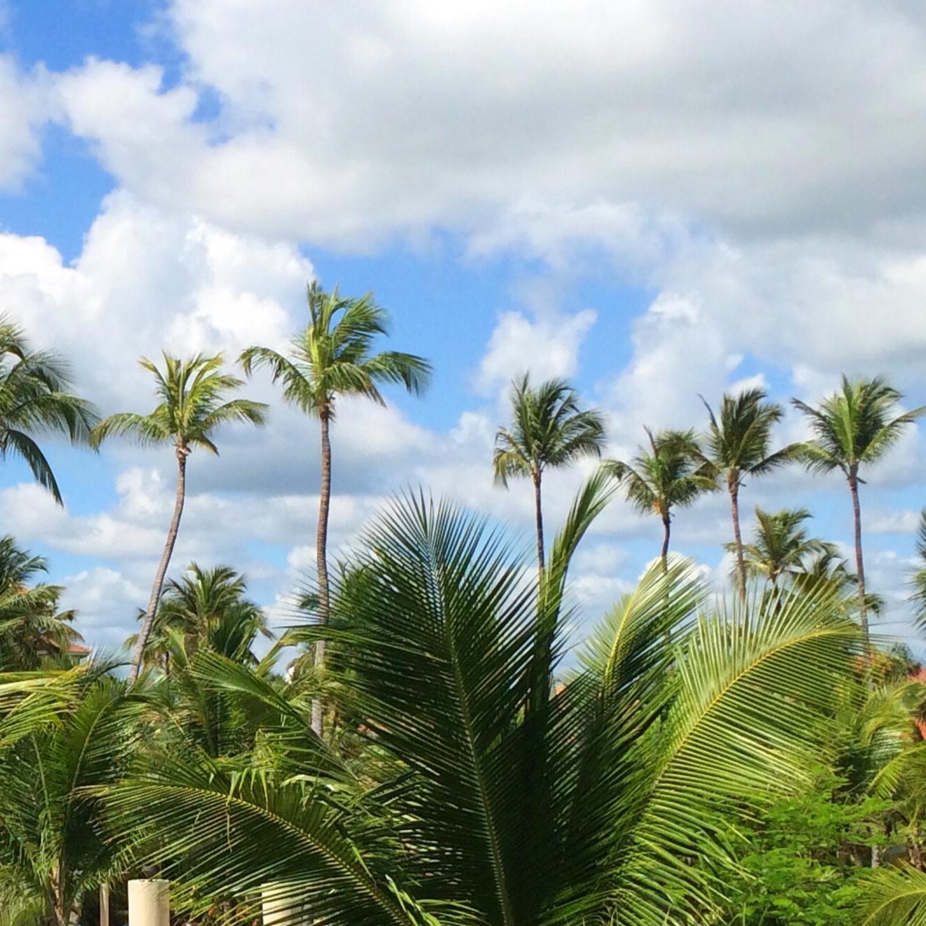 MAYNARD "JACK" RINEHART