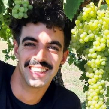 Gianluigi Montefiore