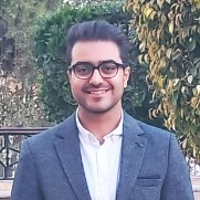 Hussein Amr