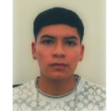 Christopher Ignacio Castro Godoy