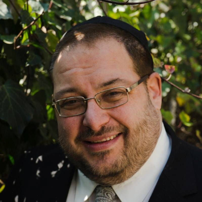 David Steinberg Dantus