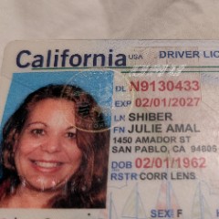 Julie Shiber