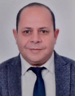 Hisham Abdel Monsef Ali
