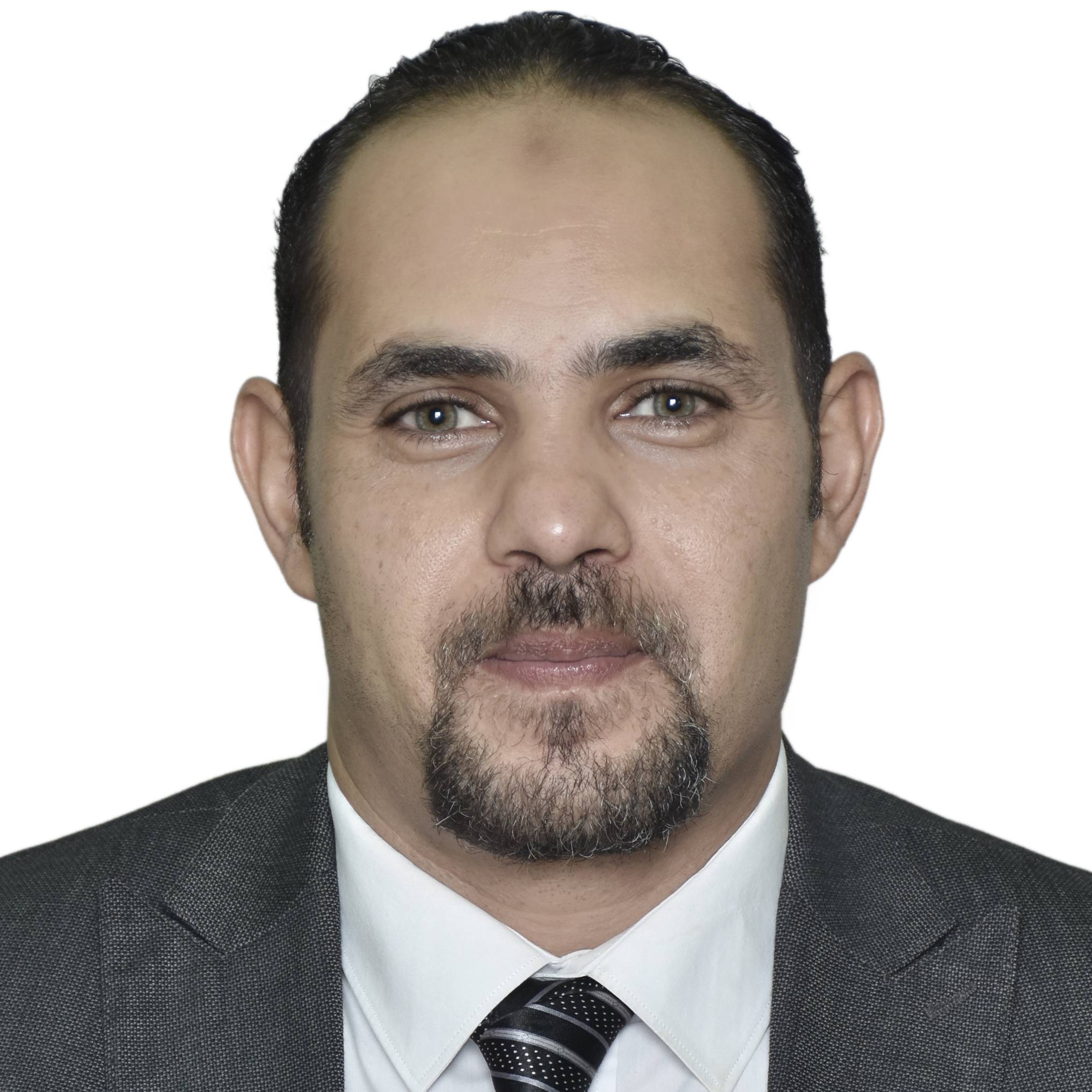 Mohammed Emam Mahmoued
