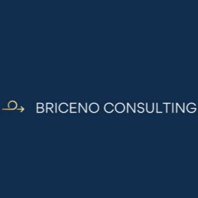Alejandro Briceno Orta