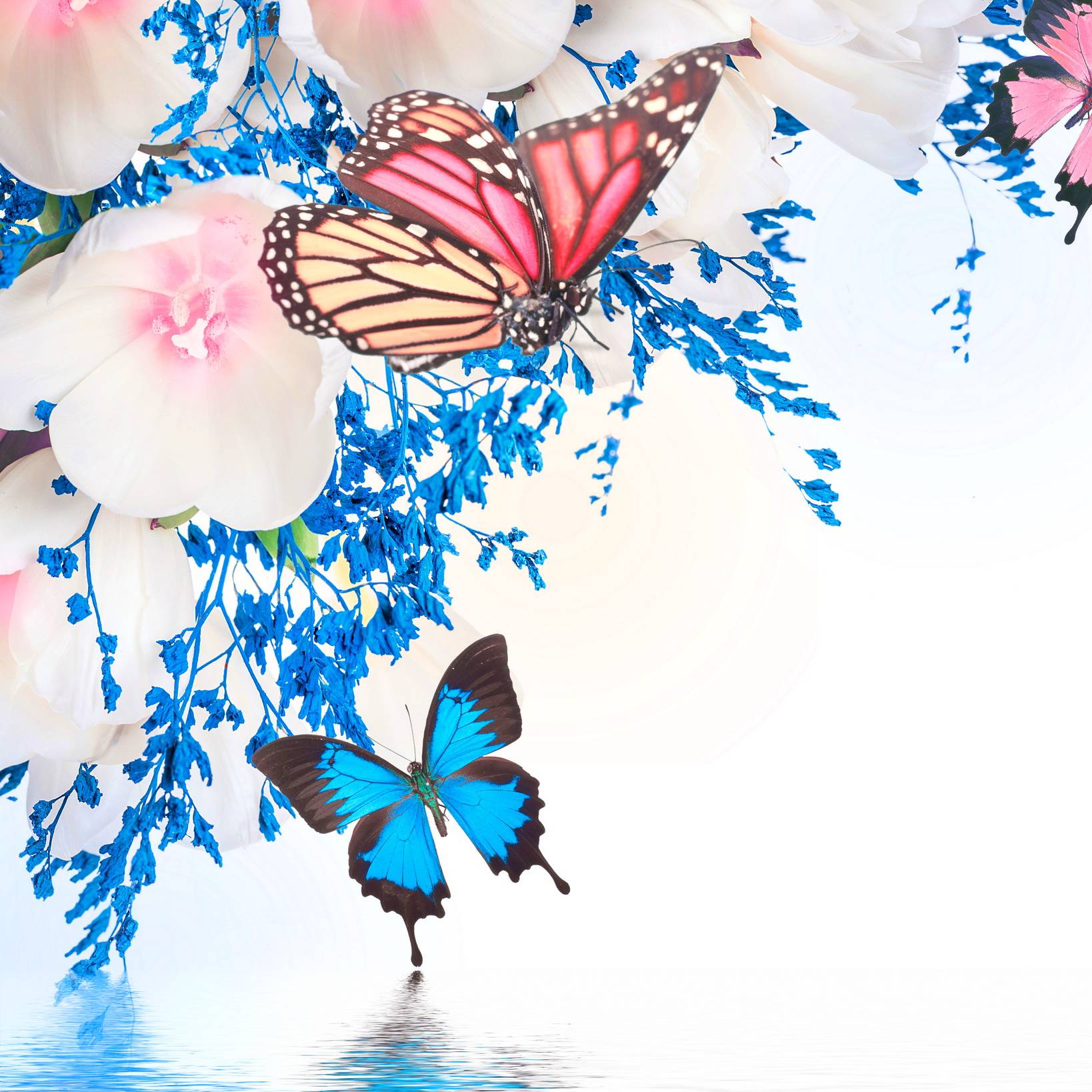 Cynthia Rucker