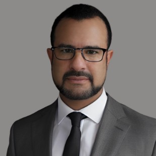 Ricardo Antonio Andrade Gaxiola