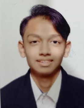 MUHAMMAD FARIHIN BIN MOHD FAUZI