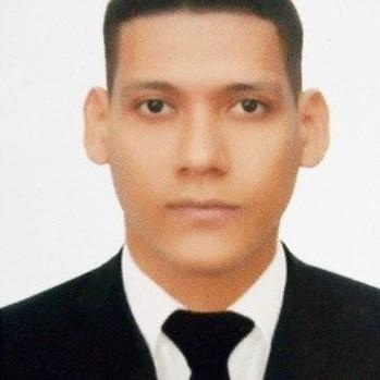 JULIAN MAURICIO PEREZ CASTRO