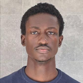 Jerome Blaise Balla Diadhiou