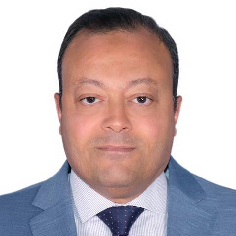 Mohamed Hassanein Salem CPA, CIA, CISA, CFE, ESAA, DipIFRSs