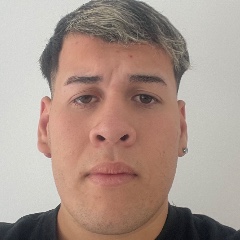 Martín Alejandro Montiel hermosilla