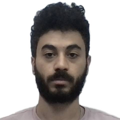 Karim Adel Hamed Ali